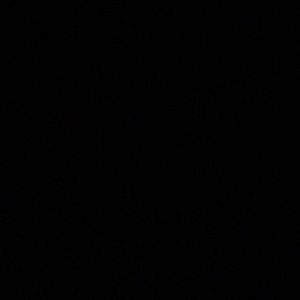 Meet your Posher, Vincent